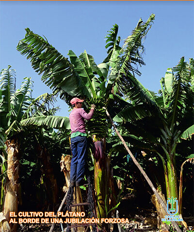 REVISTA AGROPALCA 32