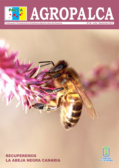 REVISTA AGROPALCA 38