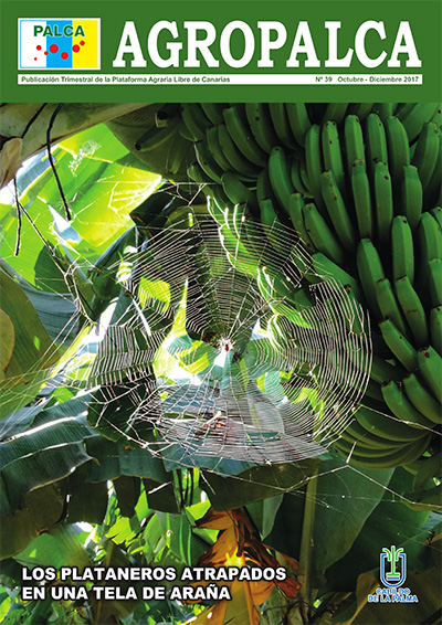 REVISTA AGROPALCA 39