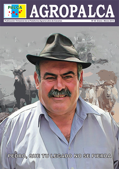REVISTA AGROPALCA 40