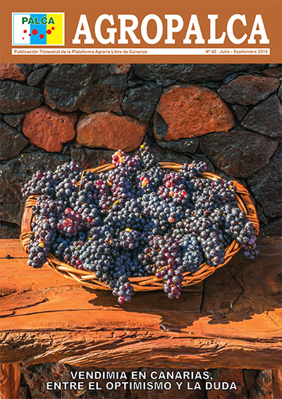 REVISTA AGROPALCA 42