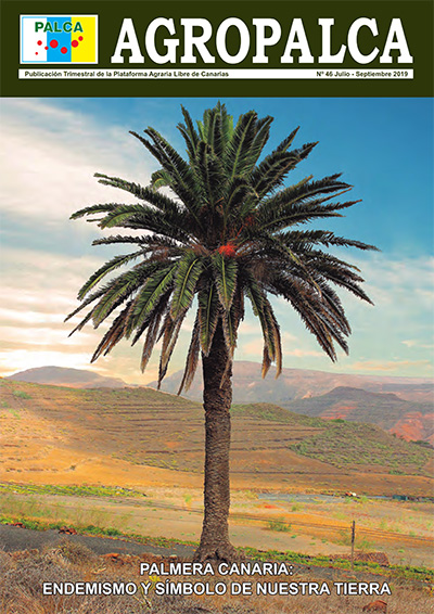 REVISTA AGROPALCA 46