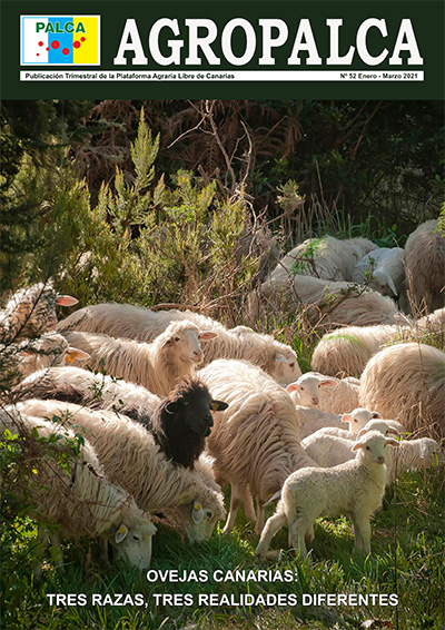 REVISTA AGROPALCA 52