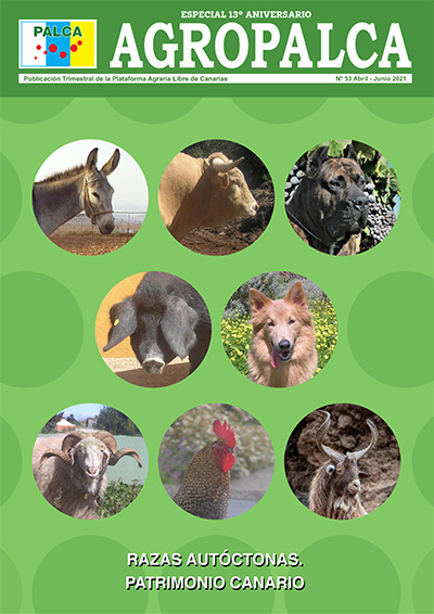 REVISTA AGROPALCA 53