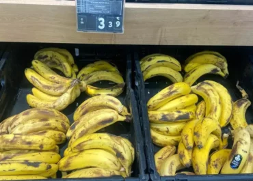 CANARIASAHORA: El precio del plátano sigue sin techo: el consumidor paga hasta cuatro euros/kilo y el agricultor ya cobra hasta 1,5