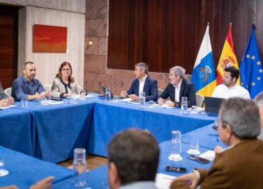 EL APURÓN: Las Organizaciones Profesionales Agrarias manifiestan al Gobierno de Canarias su respaldo al proyecto del plátano