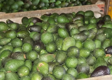 EL DEBATE: Las frutas y hortalizas de Marruecos, EE.UU. y Perú se comen el producto nacional en los súper españoles