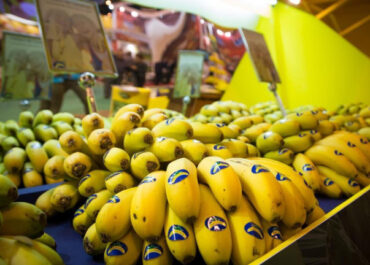 COPE: ¿Hasta cuándo se mantendrán los precios del plátano de Canarias en los supermercados? Un experto da la clave El Secretario General de ASAGA en Canarias, Theo Hernando, señala que la falta de oferta, debido a las tormentas de invierno y las bajas temperaturas han dado un respiro a los productores