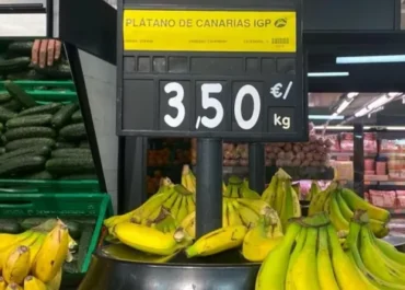 EL DEBATE: Los productores de plátano de Canarias justifican los precios récord: «Los alimentos baratos ya no existen»