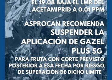 ¿QUÉ ES LO PRÓXIMO? ¿CUÁL ES LA ALTERNATIVA?, ¿QUIÉNES SON LOS RESPONSABLES?, COMO SIEMPRE,  LA UE, ¿Y NOSOTROS LOS AGRICULTORES, QUÉ VAMOS A HACER?.