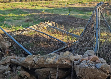 AGROINFORMACION.COM: Enfado con la letra pequeña de las ayudas de la DANA: la Agencia Tributaria deniega las ayudas extraordinarias a muchos afectados