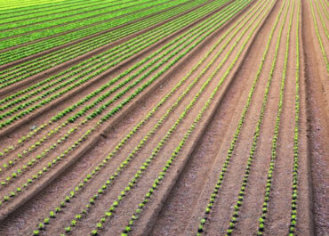 AGROINFORMACIÓN: Bruselas diseña un mercado de ‘créditos de naturaleza’ con nuevos ingresos para agricultores por la conservación y restauración de ecosistemas