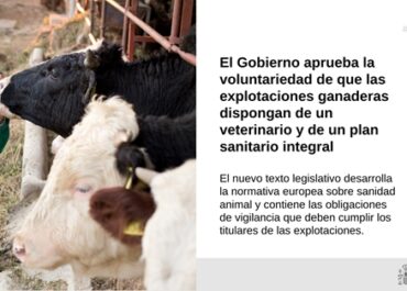 El Gobierno aprueba la voluntariedad de que las explotaciones ganaderas dispongan de un veterinario y de un plan sanitario integral
