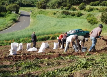 ATLANTICO HOY: La lluvia, una bendición para el campo canario, pero aún se necesita más agua