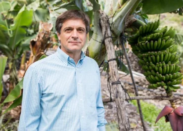 CANARIAS7: Carlos Rendón seguirá la línea de trabajo de Domingo Martín en Asprocan