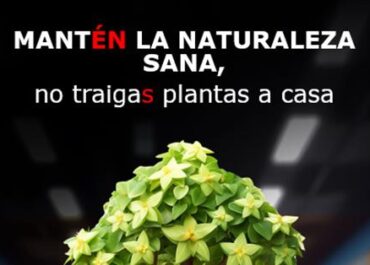 Nueva campaña europea para concienciar a la ciudadanía sobre la importancia de la sanidad vegetal