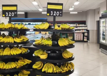 CANARIASAHORA: El precio del plátano canario se pone al rojo vivo y los agricultores ya cobran su mejor fruta a 1,54 euros/kilo