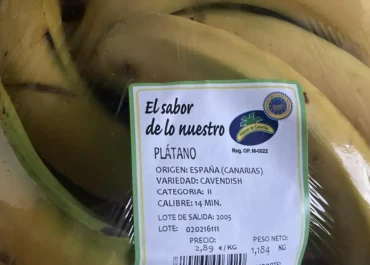 CANARIASAHORA: El plátano de Canarias ya acumula casi cuatro meses con subidas continuas