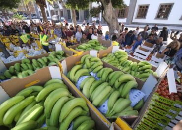 EL CONFIDENCIAL: El precio del plátano se dispara, pero los agricultores avisan de que el beneficio se lo llevan otros