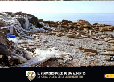 LA RAZÓN: Indignación en el campo andaluz: el Gobierno de España financia nuevos ataques a la agricultura que nos da de comer