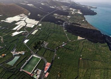 EL PERIÓDICO DE LA PALMA: Taño denuncia “presiones” para que no afectados por el volcán reciban fondos para replantar en la colada