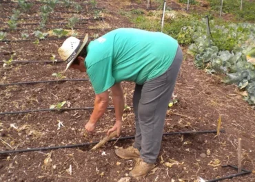 CANARIASAHORA: El Parlamento canario pide crear un banco de tierras para recuperar suelo agrícola abandonado
