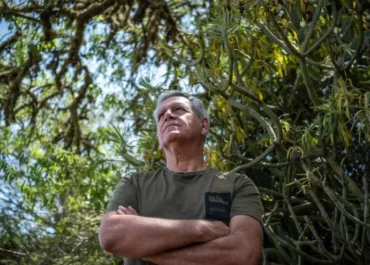 EL DIA: Murciélagos que comen polillas: el último intento de Tenerife por acabar con la plaga que devasta las papas. Un naturalista prueba el uso de quirópteros para eliminar la polilla guatemalteca