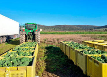 AGROINFORMACIÓN: Las Regiones hortofrutícolas europeas abogan por pedir el bloqueo al recorte de la nueva PAC al poner en riesgo la soberanía alimentaria