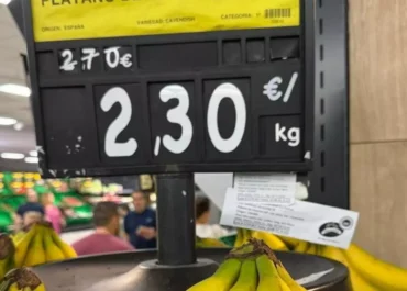 CANARIASAHORA:  El plátano canario se mantiene una semana más en su calvario veraniego      Los datos más recientes, de la semana del 4 al 10 de agosto, avanzan que el valor promedio que se liquidará en origen seguirá casi en el mismo nivel anterior: 0,41 euros/kilo; el embarque de fruta llega a los 6,3 millones de kilos la semana que entra y a 6,7 la siguiente