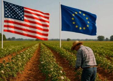AGROINFORMACIÓN: Europa logra poner de acuerdo a todas las OPAs españolas: enfado con el acuerdo de aranceles y petición unánime de medidas compensatorias