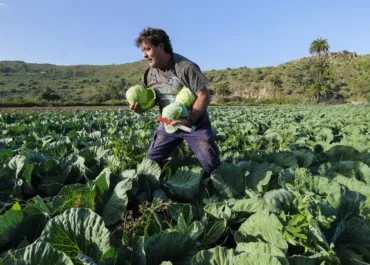 EL DIA: El Estado se alinea con Canarias para evitar recortes de fondos europeos