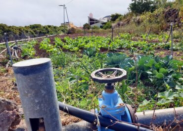 EL APURÓN: COAG exige medidas compensatorias y punitivas para que las fincas abandonadas se cuiden