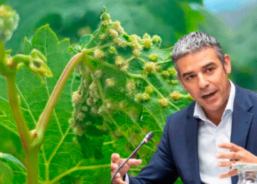 CANARIAS RADIO: Entrevista a Narvay Quintero, consejero de de Agricultura, Ganadería, Pesca y Soberanía Alimentaria del Gobierno de Canarias, en De la noche al día, con Eva García y Mayer Trujillo