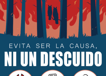 CABILDO INSULAR DE LA PALMA, CAMPAÑA DE SENSIBILIZACIÓN CONTRA INCENDIOS