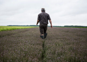 AGROINFORMACIÓN: Mientras Europa quiere quitar la PAC a los jubilados, la realidad del relevo generacional es que sólo el 8.8% de los que cobran ayudas directas tiene menos de 40 años