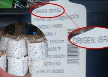 ATLÁNTICOHOY: Las papas de Tenerife se amontonan en naves mientras los supermercados venden las de Israel
