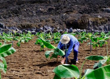 EL APURÓN: https://agroinformacion.com/upa-tambien-rechaza-una-pac-inasumible-para-el-campo-y-reclama-una-politica-agraria-con-mas-presupuesto-y-verdaderamente-comun/