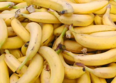 OKDIARIO: Los agricultores canarios ponen el grito en el cielo: «El plátano de Canarias está en alerta roja y…»