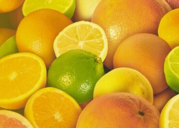 FRESH PLAZA: La WCO expresa su preocupación por los protocolos privados de seguridad alimentaria y su impacto en la citricultura