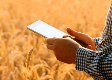 AGROINFORMACIÓN: Aplazar un año la aplicación del cuaderno digital ahorrará a las pequeñas explotaciones el asumir sus costes tecnológicos y formativos