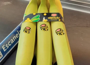 MERCADOS:  El desafío de la banana premium va camino de convertirse en algo grande El lanzamiento de la banana HoneyGlow® de Fresh Del Monte empieza a dar señales de éxito en el mercado europeo. Se trata de una fruta producida en fincas de altura sobre suelos volcánicos en Ecuador, con un sabor más dulce y una producción limitada, lo que la posiciona en el segmento premium.