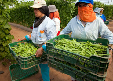 AGROINFORMACIÓN: Rechazo unánime del sector agrícola europeo ante la modificación del acuerdo de la UE con Marruecos por considerarlo un «precedente peligroso»