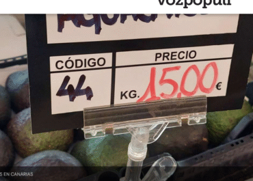 VOZPOPULI: Traer un aguacate en el avión: el delito insólito que acecha a los canarios que regresan de la Península Es más barato volar a Madrid, comprar aguacates allí y volver, que comprarlos en un mercado canario, pero no se puede