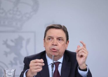 EL APURÓN: El acuerdo con Ecuador «no tendrá consecuencia para el plátano canario», según Planas