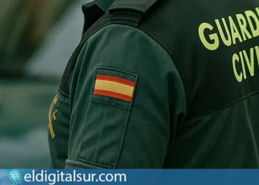 EL DIGITAL SUR: Falsificaban vinos, aceites y plátanos de Canarias en una red desmantelada por la Guardia Civil en una macrooperación internacional La actuación policial se enmarca en una macrooperación internacional que abarcó 31 países y que culminó con 101 detenidos, 631 personas denunciadas y el desmantelamiento de 13 organizaciones criminales.