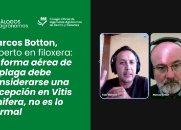 Marcos Botton, experto en filoxera: La forma aérea de la plaga debe considerarse una excepción en Vitis vinifera, no es lo normal
