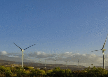 ATLÁNTICOHOY: Agrónomos de Canarias reclaman una mayor protección del suelo agrario frente a energías renovables