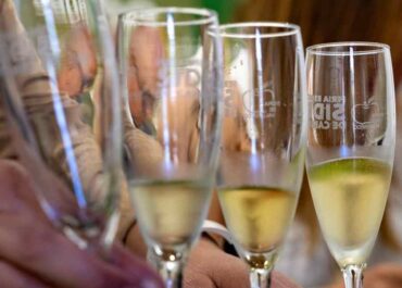 EL APURÓN: Tres sidras de La Palma, premiadas en el concurso internacional SISGA 25, celebrado en Asturias
