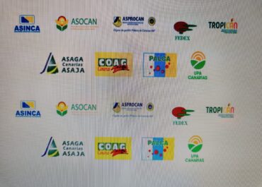 COMUNICADO DE LAS ORGANIZACIONES PROFESIONALES AGRARIAS Y ASOCIACIONES DEL SECTOR AGRARIO E INDUSTRIAL DE CANARIAS.Las organizaciones profesionales agrarias de Canarias (ASAGA-ASAJA Canarias, COAG- Canarias, PALCA-Unión de Uniones y UPA-Canarias) y las asociaciones del sector agrario y agroindustrial de las Islas (ASPROCAN, ASOCAN, FEDEX, TROPICAN y ASINCA) manifiestan de manera conjunta su firme compromiso en defensa del Programa de Opciones Específicas por la Lejanía y la Insularidad (POSEI) e impulsan el registro y aprobación de una Proposición no de Ley (PNL) en el Congreso de los Diputados que refuerce el papel del Gobierno de España ante las instituciones europeas para el mantenimiento de este Programa como régimen específico de la Unión Europea.
