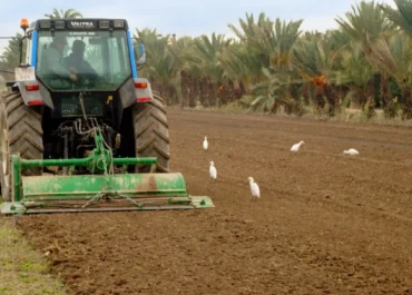 LA INFORMACIÓN: El Tribunal de Justicia de la Unión Europea avala retirar cinco millones en ayudas agrarias concedidas indebidamente en España